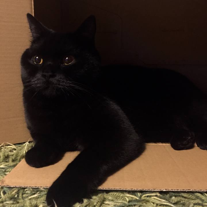 0b914c6b 4601 4cae ac60 d32cc366072d 1522413757557