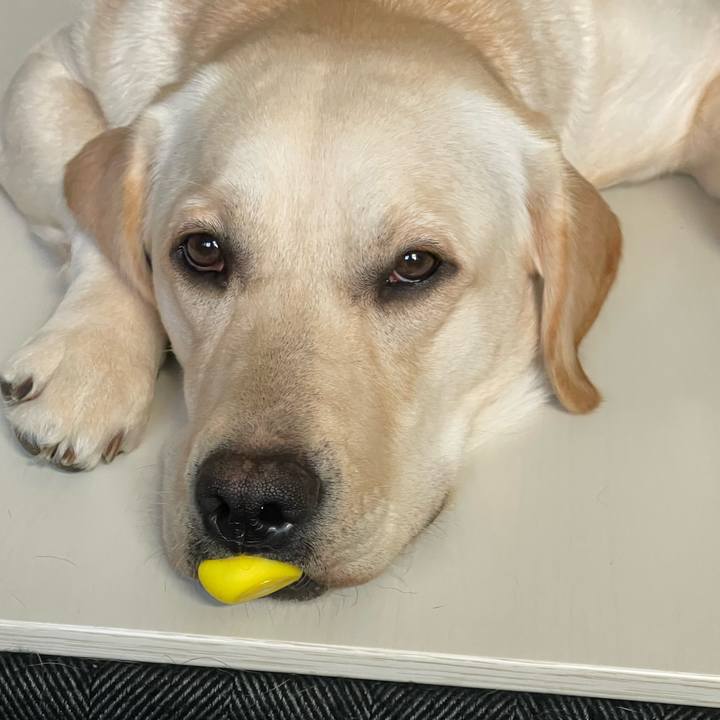 0b9183ec 7760 4546 97f3 e92243f37d3c 1641684080259