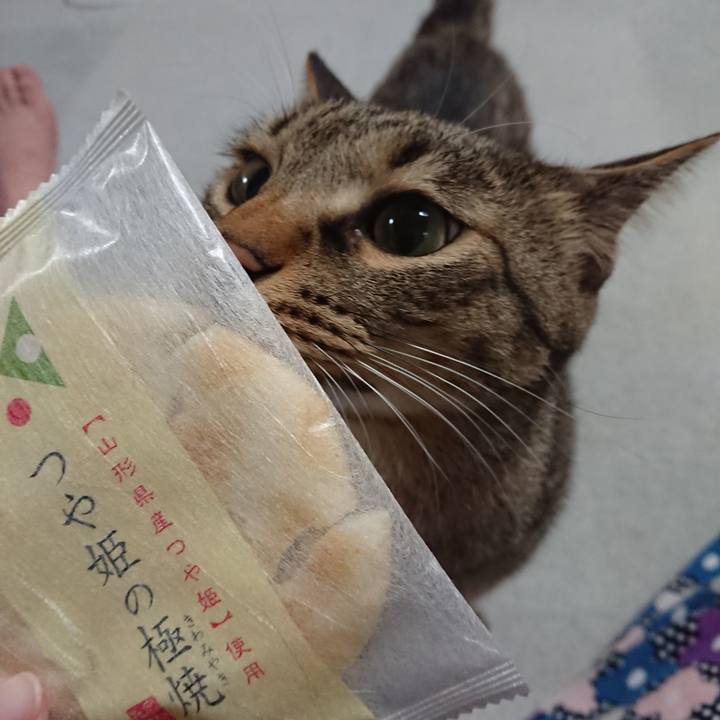 0b91a89c 7981 46b6 8b1f 6f89d6c3cda3 1566294060810