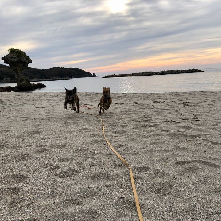 0b91ae1a 26a5 4ed2 ba88 83a52dcbe32c 1571562485891