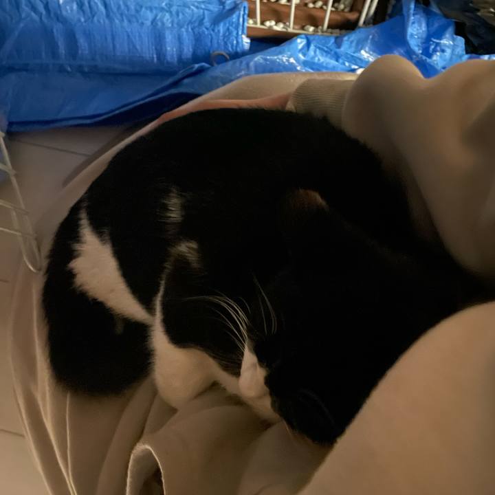 0b91eee4 c7a4 4071 a11f 2bb5459b6b24 1676194904276