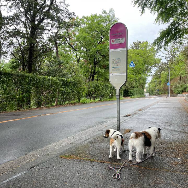 0b91f36c 1d58 4ebf 8208 3528f9e5b49e 1715036209516