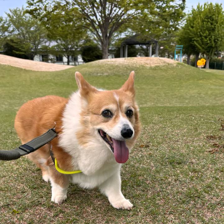 0b9244e3 13de 4a6a 854c 5682d593e6b3 1776390237887