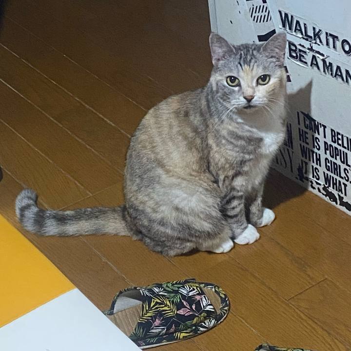 0b92674b 9c64 498f 9b79 d9533e74ee67 1752419991751