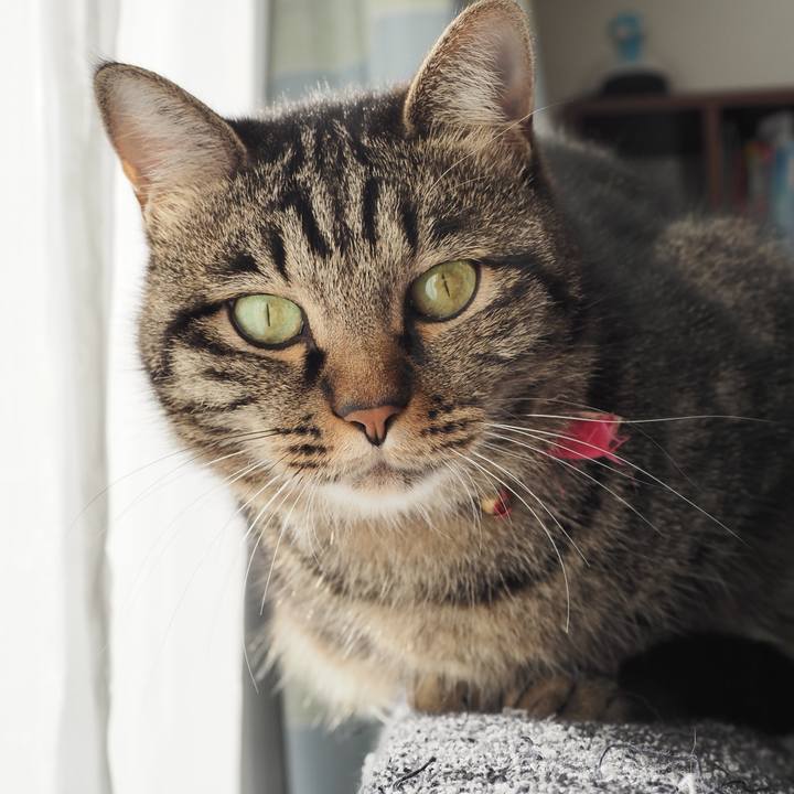 0b929735 63c9 42e4 95a8 4e8e6b10f978 1605505770930