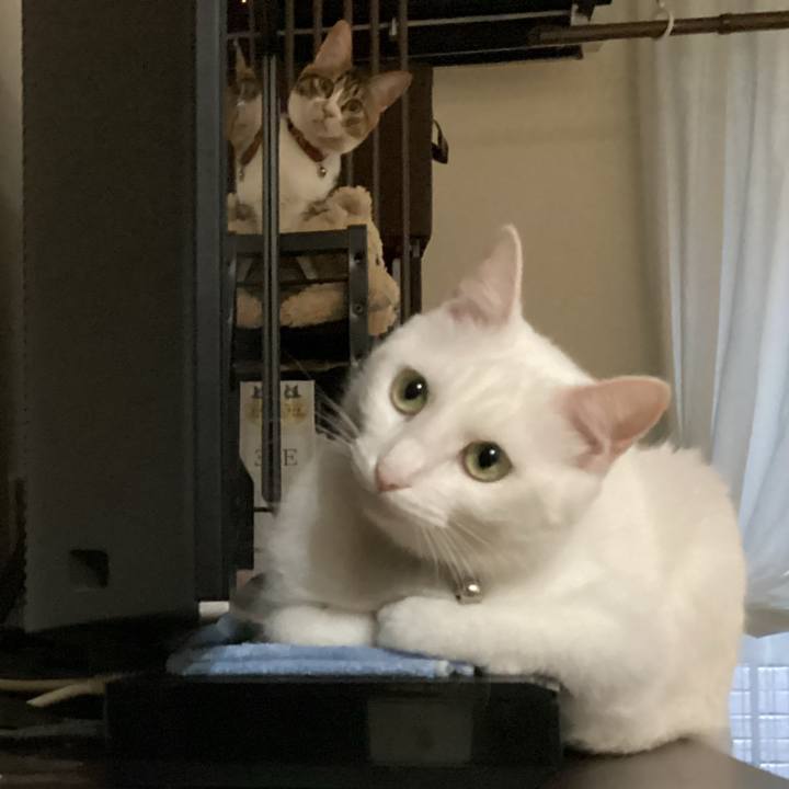 0b929ad5 62e7 4261 bd50 1879a44ee6f2 1672707586604