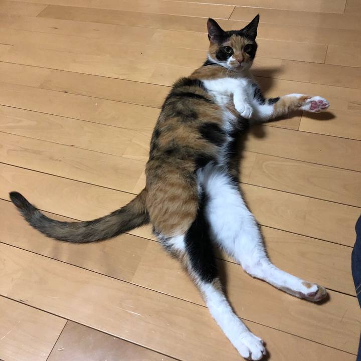 0b92c003 aa78 4ea7 969d 8c9a71429e99 1537016585646