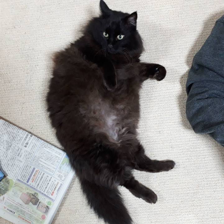 0b92e5cc 7fbb 45f9 b904 4ba60372b5d1 1545913702092