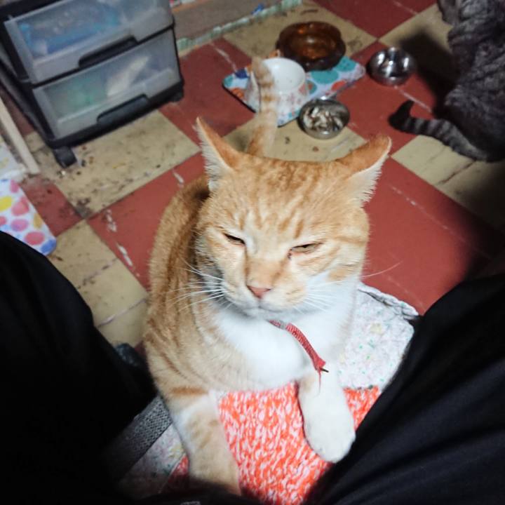 0b92ea91 fd51 4d66 ae92 518aa1355108 1573849219419