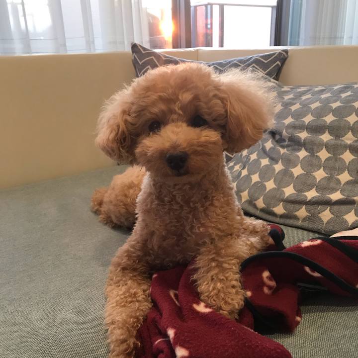 0b930ea1 a1d1 4f5a 9ed4 b3340ef58a75 1555060728364