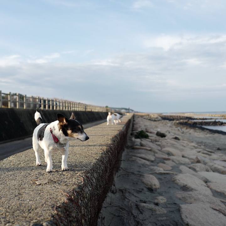 0b9326e7 0b52 4d2c b5d6 a06b3641e530 1545539331046