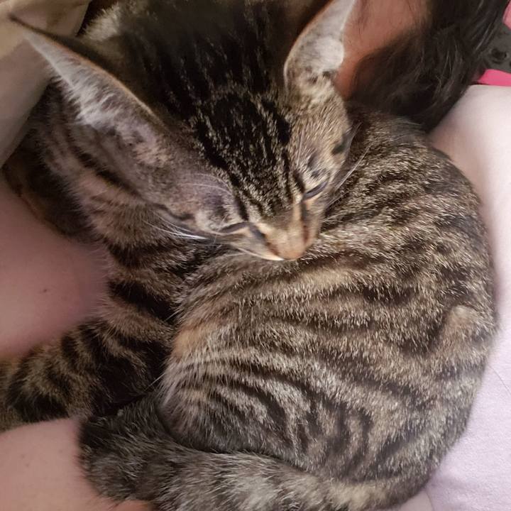 0b932ba8 ec8c 4db8 84ba 3f21822233a3 1548157896050