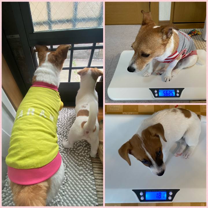 0b935a83 5196 4278 9f30 61ba65c40b18 1695598571702