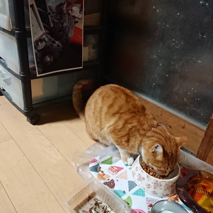 0b93e312 294f 42c9 816c 4243071a70d9 1603654507627