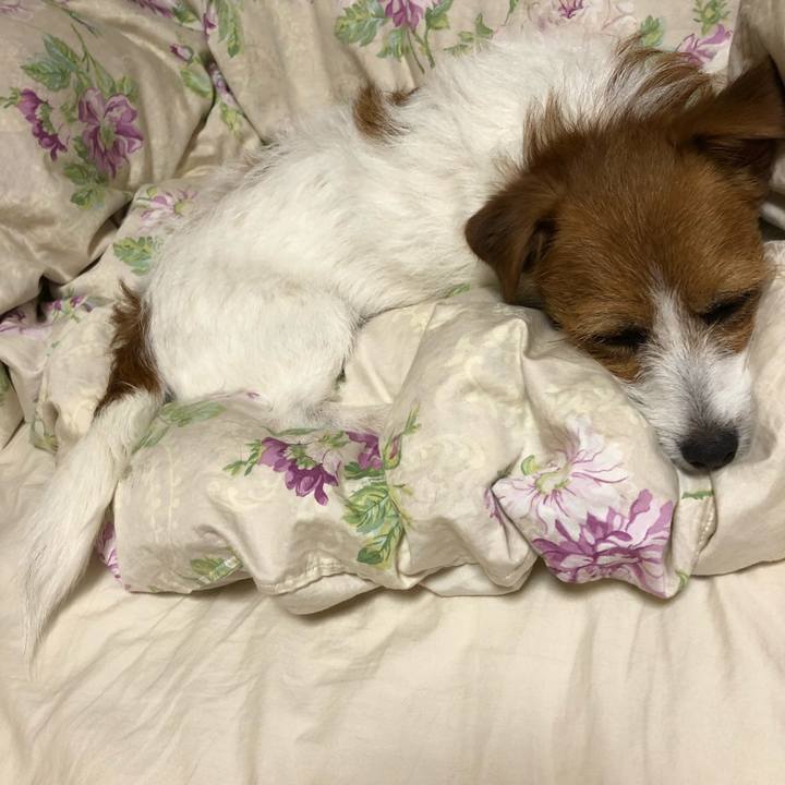 0b93fa6b aacf 425e af7b f93607e2e996 1529159792438