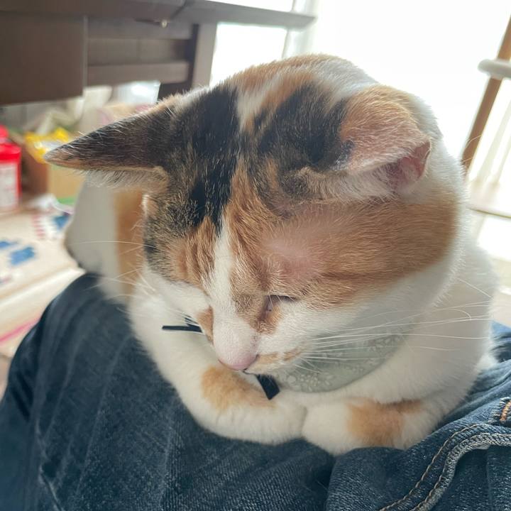 0b940630 926e 4fff 96eb feb3ee618fb0 1685258252043