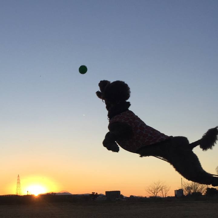 0b9436e2 7dfe 4fc4 96e4 0ada1cbdf77d 1548595140935