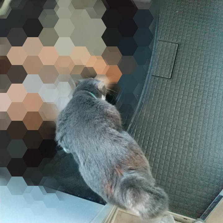 0b94498b c84f 49a1 8ebf f6c66e56531e 1628633331347