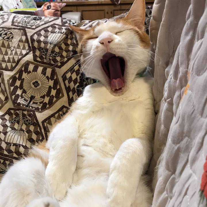 0b9456f5 f9f4 4ae6 a359 90b7847c9033 1585957397565