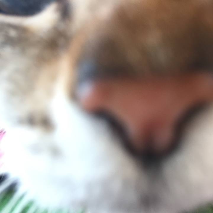 0b9459b1 f959 4432 bc37 ee1bca2d4ff0 1580191926095