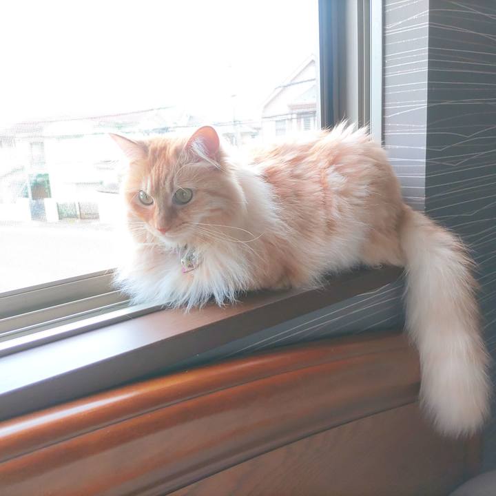 0b945aa0 a394 4f32 85bc 993013627d0f 1684641866483