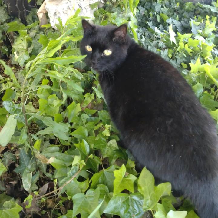 0b947000 2864 49bb ba8b 0d0bd152f5fe 1746589614163