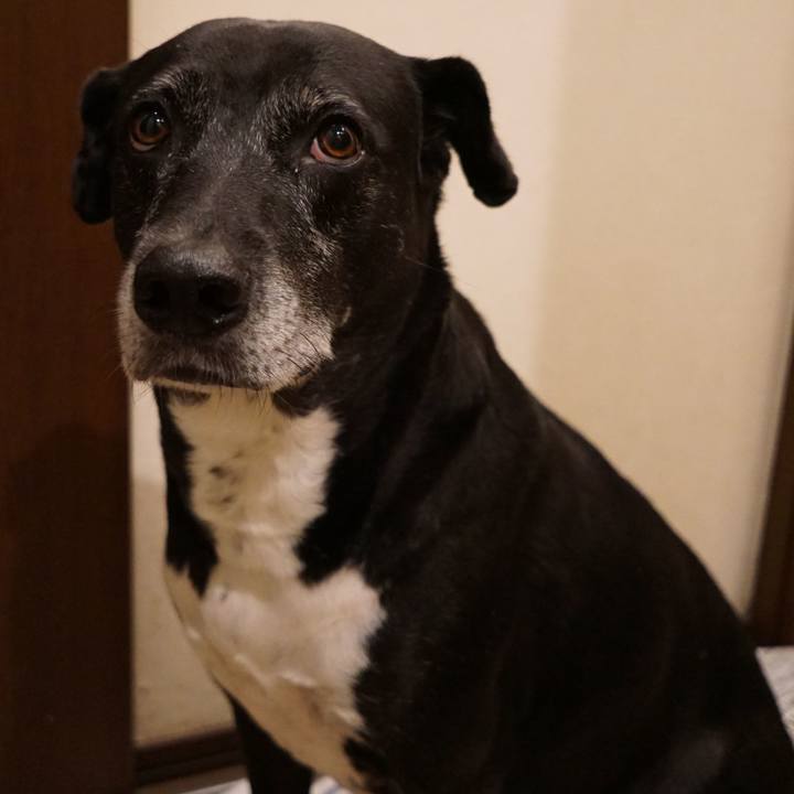 0b94d015 cf35 468c 9cd3 287c29d466f2 1760180913054