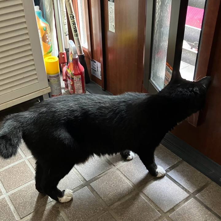 0b94d10b 9d78 4dcd b3fd 725c8ed13e2a 1758167420889