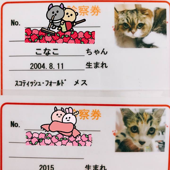 0b94e953 3320 4b98 a67a af34b3c8bc56 1552642497992