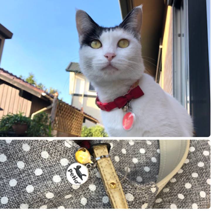 0b94f04c 6850 41ef af77 25a1537df060 1633561925203