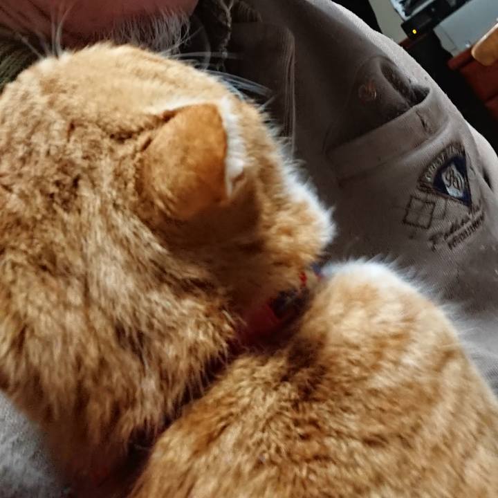 0b94f5fa 58f6 4d90 9fe6 3a7a90c062fe 1579117705135