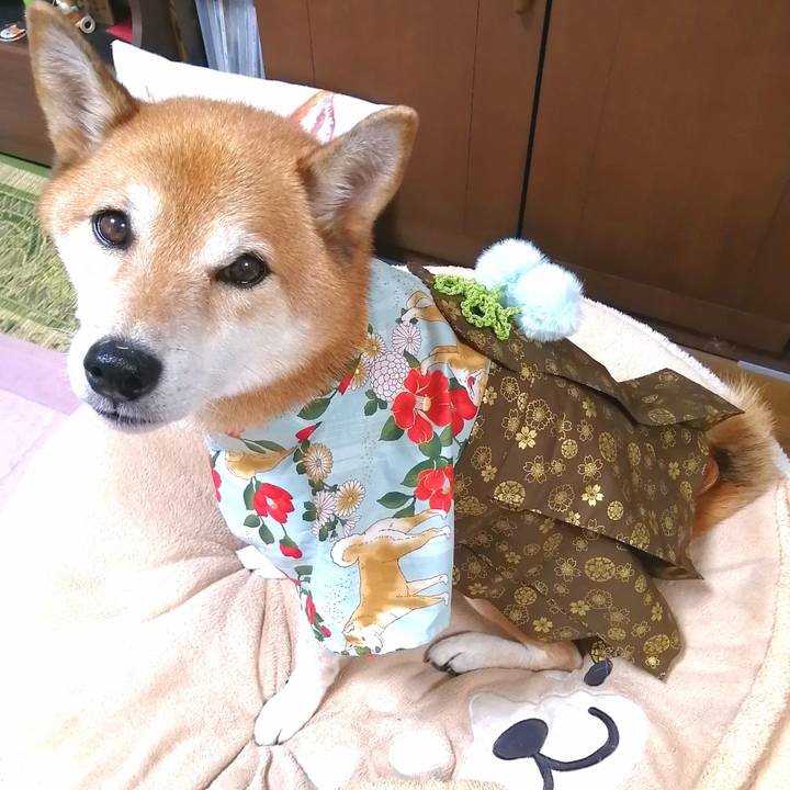 0b94f8eb 5a5a 4f92 a417 0edcc6557845 1694425730234