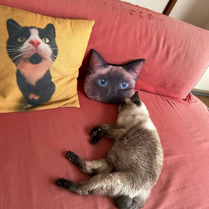 0b954d27 603f 4dbd 840e bb83cb7123ec 1689318193404