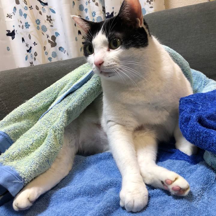 0b956c84 cc4e 4114 84fd d21c09113734 1576053795331