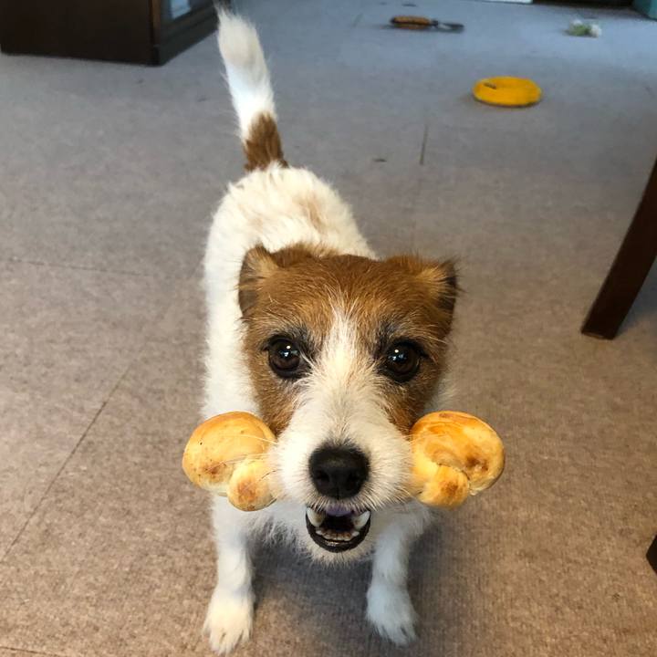 0b957a50 e975 4ea6 8bbe f8579554ec9e 1571474313136