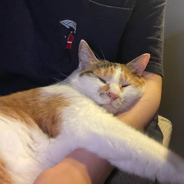 0b95b15a 41e9 437e 98a0 ddf08e8ea809 1656253245899