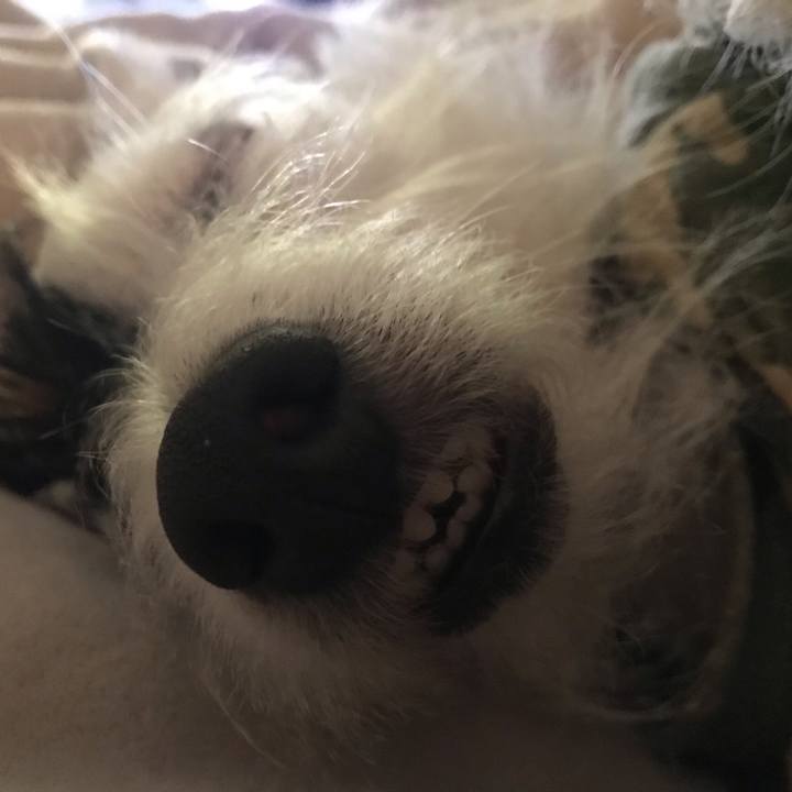 0b95ba6c d075 4013 90ee c30da5cc3350 1544878717635