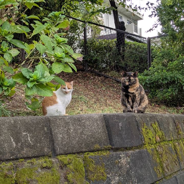 0b95c6ff a633 4a72 a4fe a4dc6123f291 1757861549146