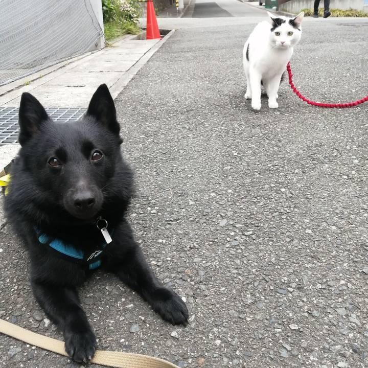 0b95d995 2170 4d74 94bd abea273aae6b 1652605436839