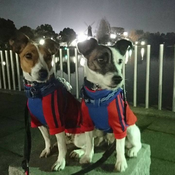 0b95da36 5b7c 4d71 8d1e 03d139dbc600 1540633067570