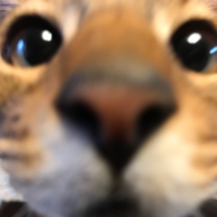 0b9628b2 3e54 4b44 8478 7133eed971c4 1590535953738
