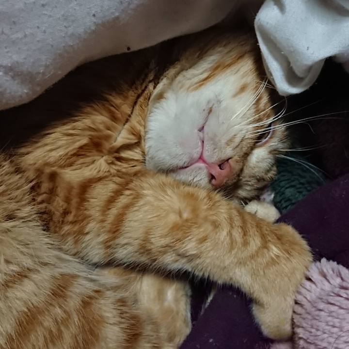 0b964e42 a4d4 4e50 a56c 5ecb5ef5052a 1644240007515