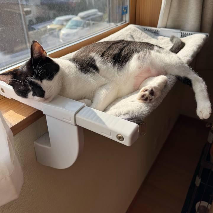 0b966d15 9298 4a6b a9ac 55bdc5594f31 1774658687664