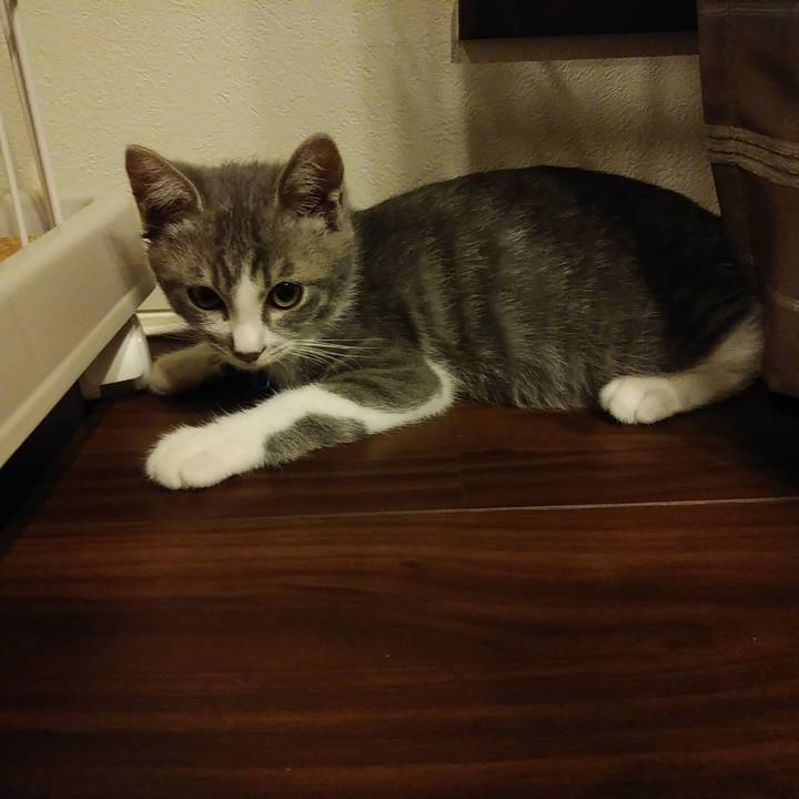 0b96dd35 1e7b 4082 ae3e 14ac133f1528 1563901784014