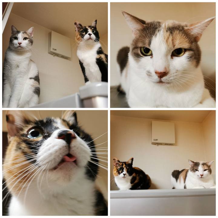 0b970290 8567 4b14 9cda 1474dc9930a2 1643440334117