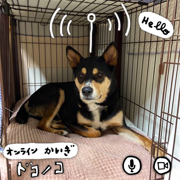 0b9784a4 3d3a 4dd7 9564 ddaa6000be8b 1590673495749