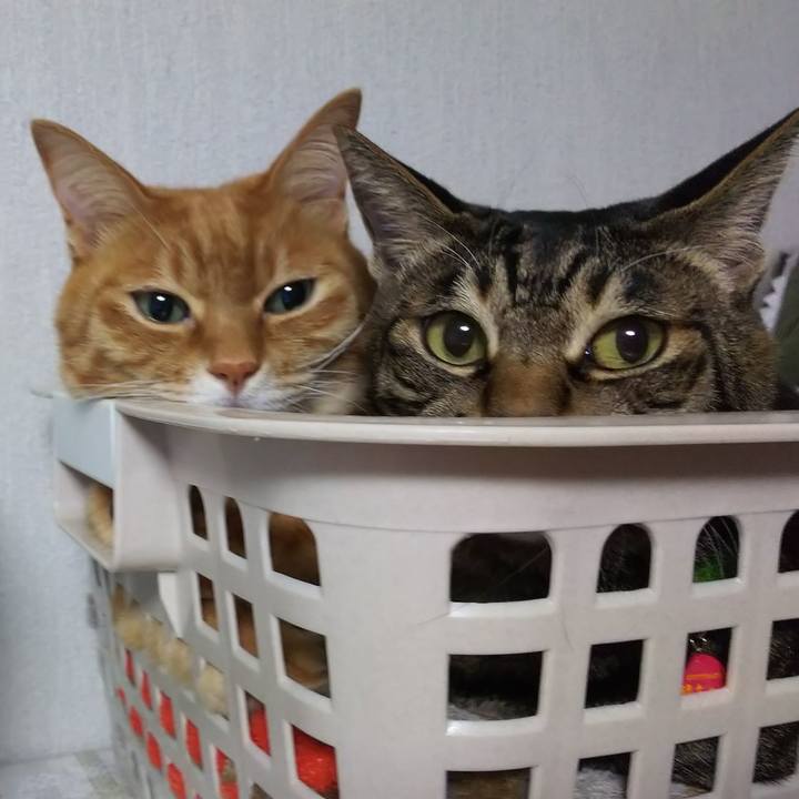 0b9797e3 1664 4268 9771 aa09bf0516d7 1638631885059