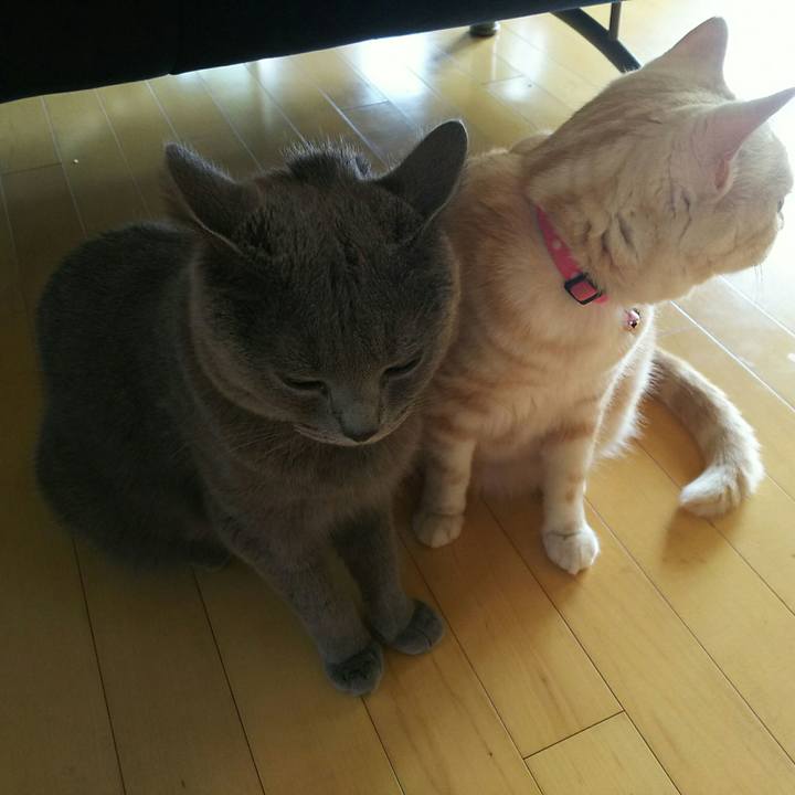 0b97b33a ad25 4888 8d4e 425131ac0e12 1533190991994