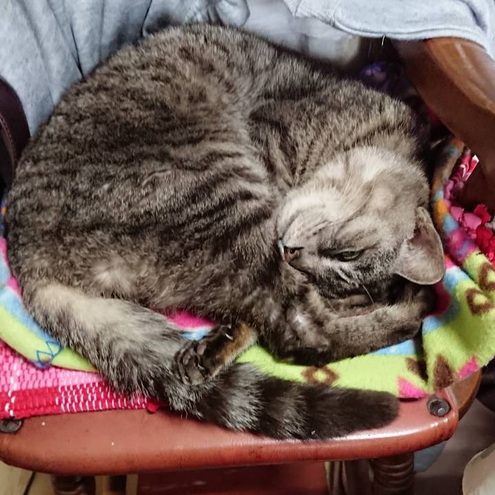 0b97c2dc 1791 4075 bed6 de9ced485e6b 1554612851838