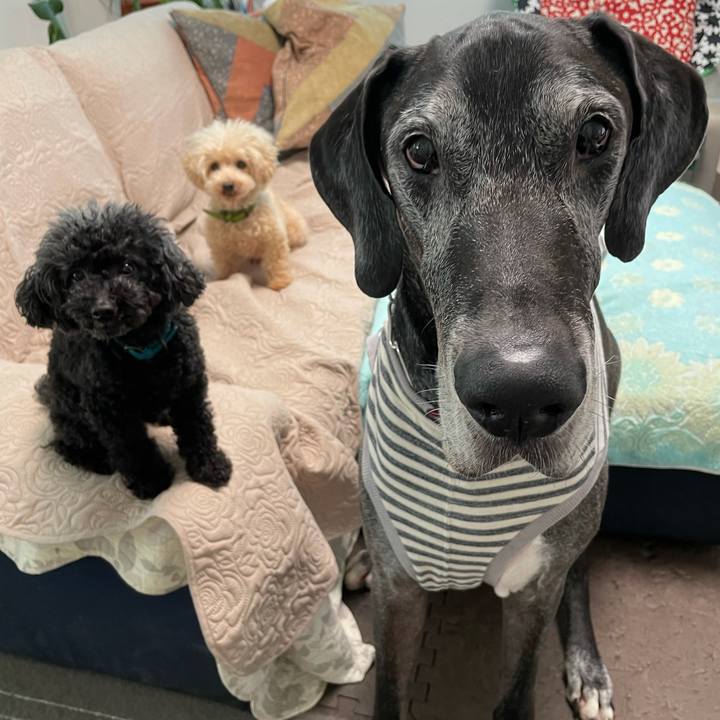 0b97c806 ad9a 4c24 8490 6f4fa5a3e08e 1631055170206